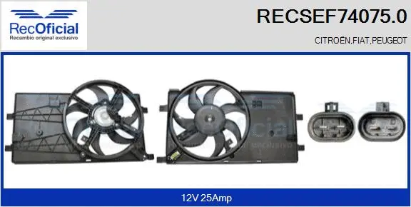 Electric Motor, radiator fan (RECSEF74075.0)