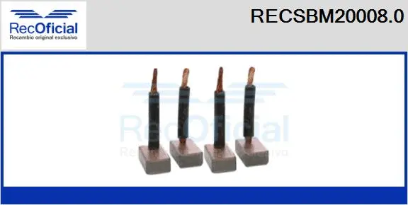 Carbon Brush, starter (RECSBM20008.0)