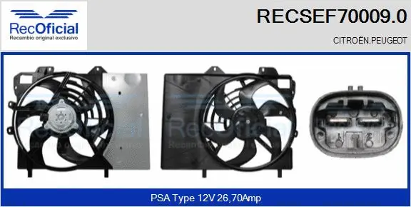 Electric Motor, radiator fan (RECSEF70009.0)