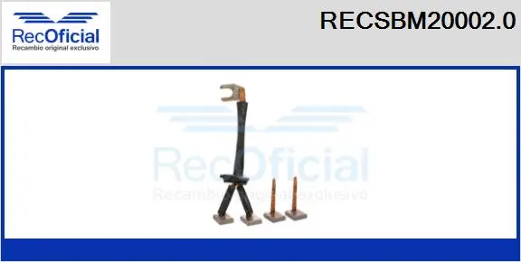 Carbon Brush, starter (RECSBM20002.0)