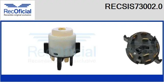 Ignition Switch (RECSIS73002.0)