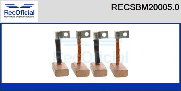 Carbon Brush, starter (RECSBM20005.0)