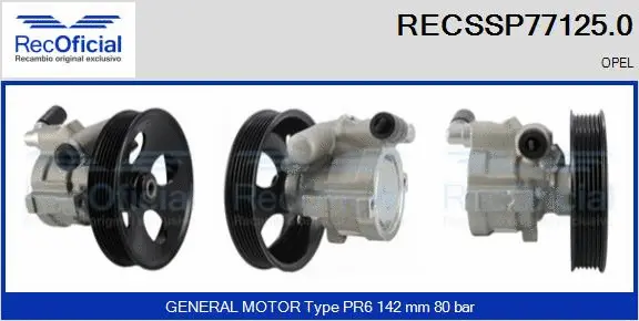 Hydraulic Pump, steering (RECSSP77125.0)