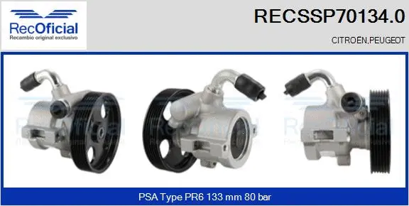 Hydraulic Pump, steering (RECSSP70134.0)