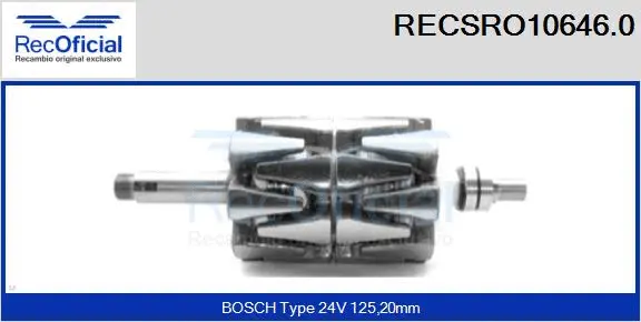 Rotor, alternator (RECSRO10646.0)
