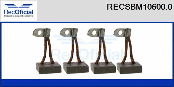 Carbon Brush, starter (RECSBM10600.0)