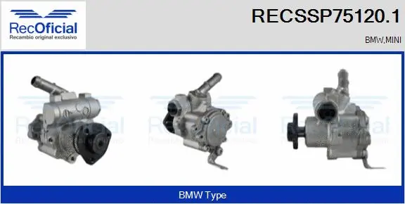 Hydraulic Pump, steering (RECSSP75120.1)