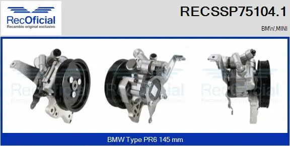 Hydraulic Pump, steering (RECSSP75104.1)