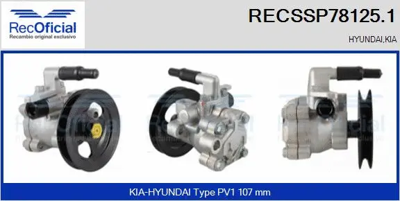 Hydraulic Pump, steering (RECSSP78125.1)