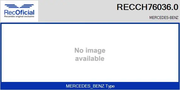 Core assembly, turbocharger (RECCH76036.0)