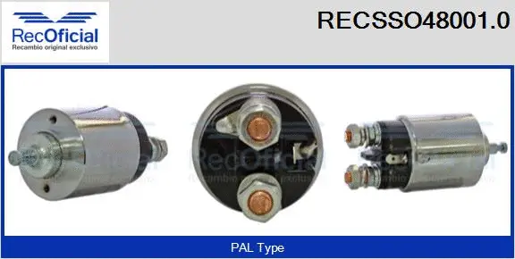 Solenoid Switch, starter (RECSSO48001.0)