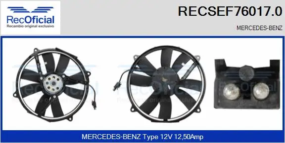 Electric Motor, radiator fan (RECSEF76017.0)