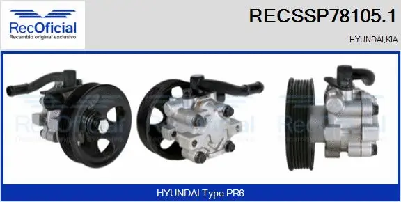 Hydraulic Pump, steering (RECSSP78105.1)