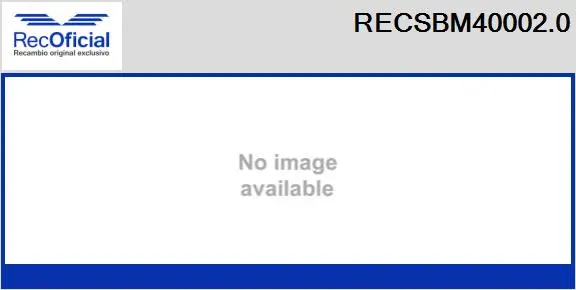 Carbon Brush, starter (RECSBM40002.0)