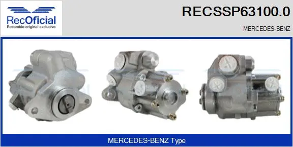 Hydraulic Pump, steering (RECSSP63100.0)