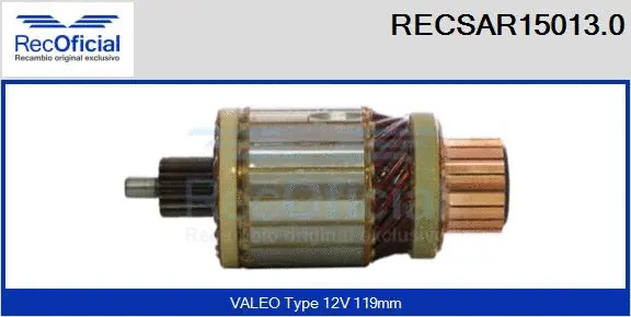 Armature, starter (RECSAR15013.0)