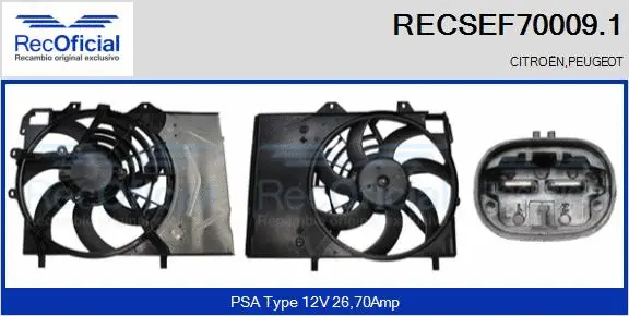 Electric Motor, radiator fan (RECSEF70009.1)