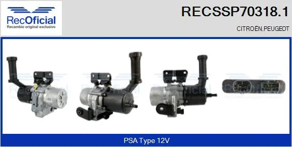 Hydraulic Pump, steering (RECSSP70318.1)