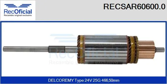 Armature, starter (RECSAR60600.0)