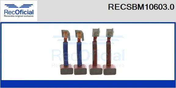 Carbon Brush, starter (RECSBM10603.0)