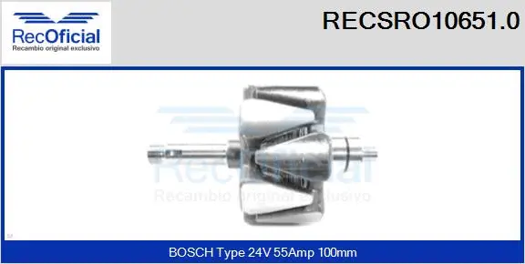 Rotor, alternator (RECSRO10651.0)
