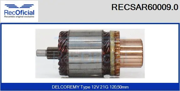 Armature, starter (RECSAR60009.0)