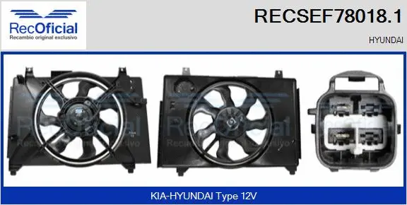 Electric Motor, radiator fan (RECSEF78018.1)