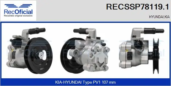 Hydraulic Pump, steering (RECSSP78119.1)