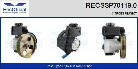 Hydraulic Pump, steering (RECSSP70119.0)