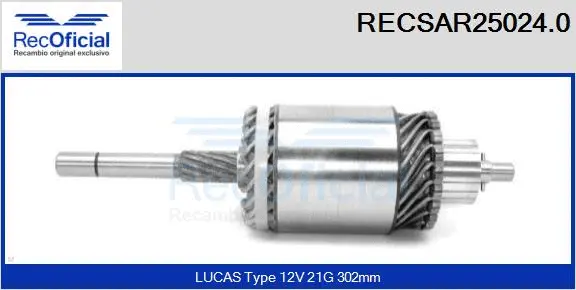 Armature, starter (RECSAR25024.0)