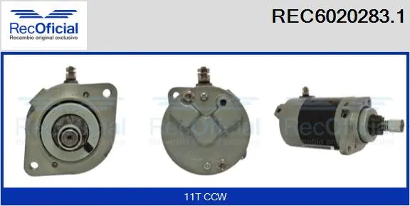 Starter (REC6020283.1)