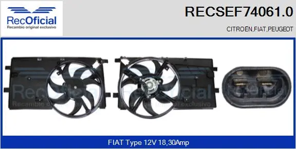 Electric Motor, radiator fan (RECSEF74061.0)
