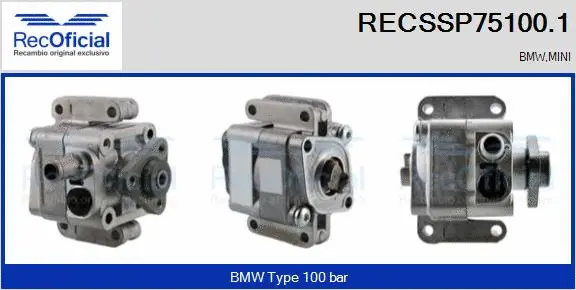 Hydraulic Pump, steering (RECSSP75100.1)