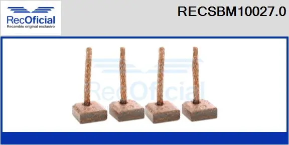 Carbon Brush, starter (RECSBM10027.0)