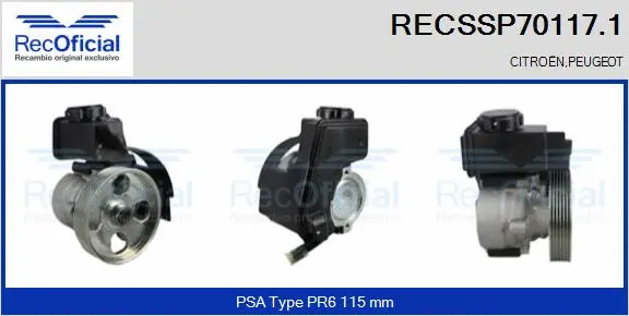 Hydraulic Pump, steering (RECSSP70117.1)