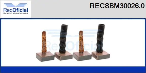 Carbon Brush, starter (RECSBM30026.0)
