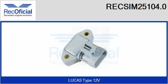 Switch Unit, ignition system (RECSIM25104.0)