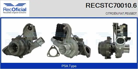 Charger, charging (supercharged/turbocharged) (RECSTC70010.6)