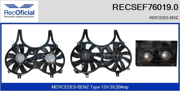 Electric Motor, radiator fan (RECSEF76019.0)