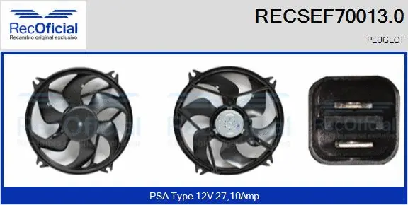 Electric Motor, radiator fan (RECSEF70013.0)