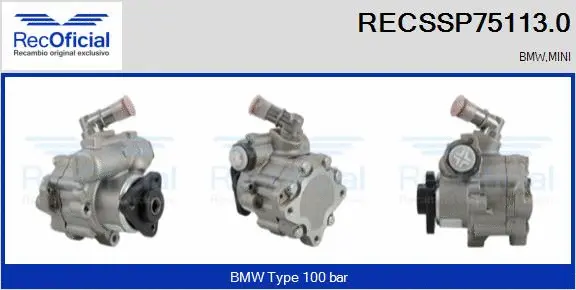 Hydraulic Pump, steering (RECSSP75113.0)