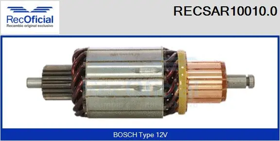 Armature, starter (RECSAR10010.0)