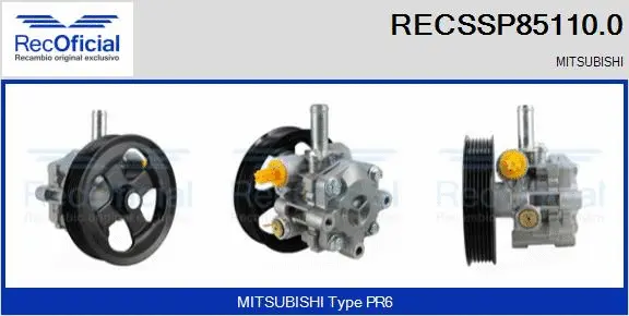 Hydraulic Pump, steering (RECSSP85110.0)