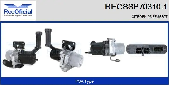 Hydraulic Pump, steering (RECSSP70310.1)