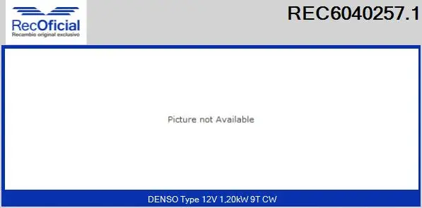 Starter (REC6040257.1)