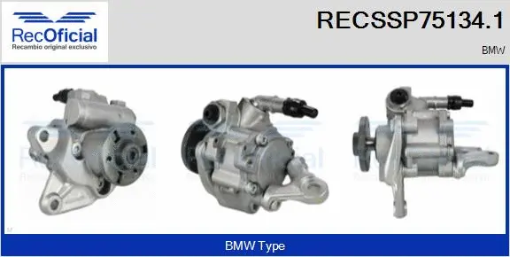 Hydraulic Pump, steering (RECSSP75134.1)