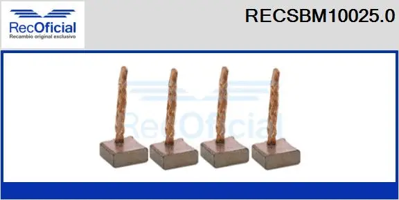 Carbon Brush, starter (RECSBM10025.0)