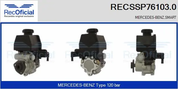 Hydraulic Pump, steering (RECSSP76103.0)