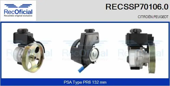 Hydraulic Pump, steering (RECSSP70106.0)