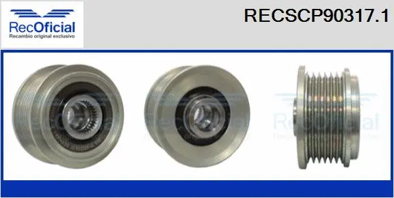 Belt Pulley, alternator (RECSCP90317.1)